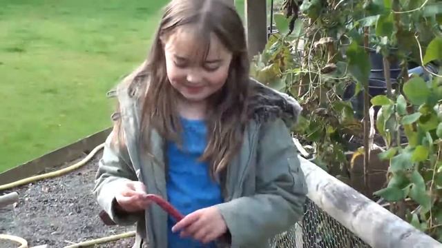 Milly Harvests Borlotto Beans