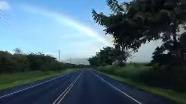 Rainbow over Rainbow Shower Trees in Hawaii