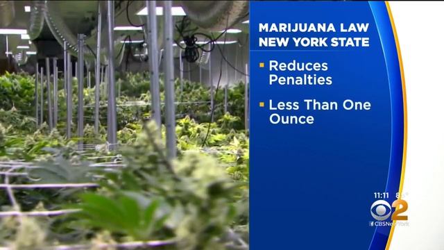New York Reducing Penalties For Marijuana Possession