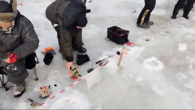 Поимки Основной водоем
