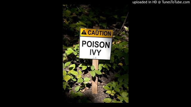Beating The Ivy