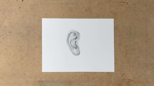 How to draw and shade an ear for beginners - Drawing Tutorial