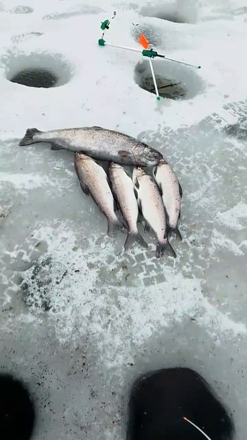 Выходной =)