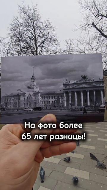 НА ФОТО более 65 лет РАЗНИЦЫ!
Центральный Московский #ипподром — старейший в стране и первый в мире