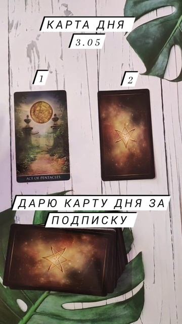 #картадня#таро#руны#тароонлайн#бесплатныйрасклад#гадание#Раскладтаро#картадня#маг#tarot#ведьма#астр