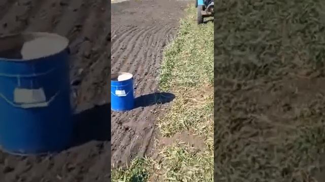 Посадка картофеля 2022.