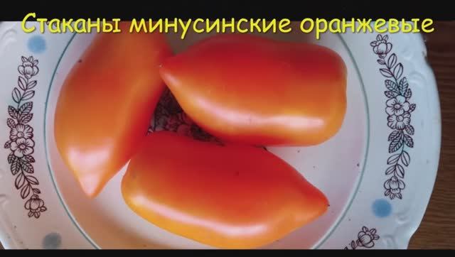 Каталог томатов 2024 г. Часть 5. Проверенные сорта.  г. Киров