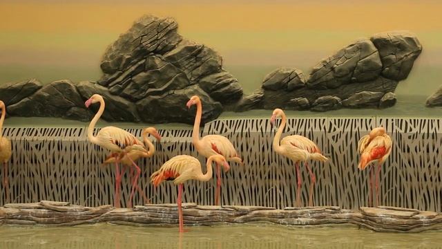 Птахи ранкової зорі