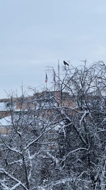 Новгород