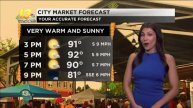 Claudia Olech Updated Weather Reel
