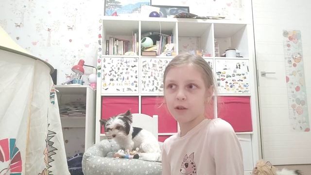 ВАЖНАЯ НОВОСТЬ ПРО НАШ КАНАЛ ПЕРЕД НОВЫМ ГОДОМ!