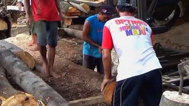 Super tajam.kecepatan mesin bandsaw gergaji kayu super cantik & mewah incaran sawmill seluruh dunia