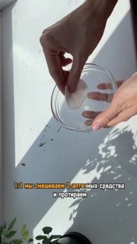 Отмоет от подоконника что угодно ✨