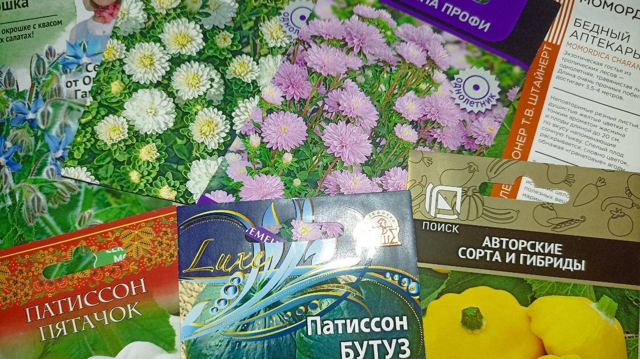 16.02.25. Съездила в Ашан и Леману. Новые саженцы и семена. Пикирую рассаду и прочее)