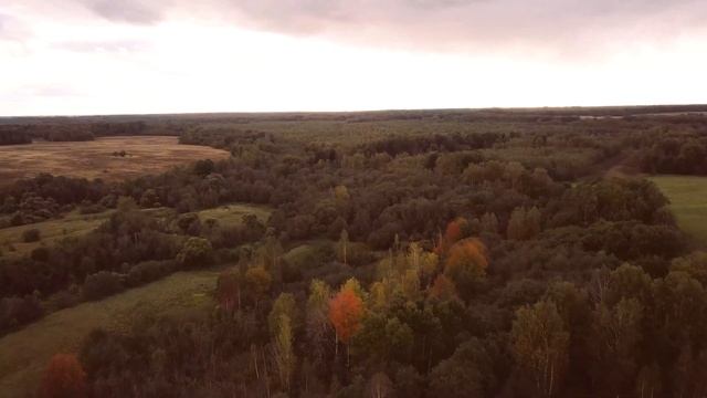 Окрестности Болдырёво...