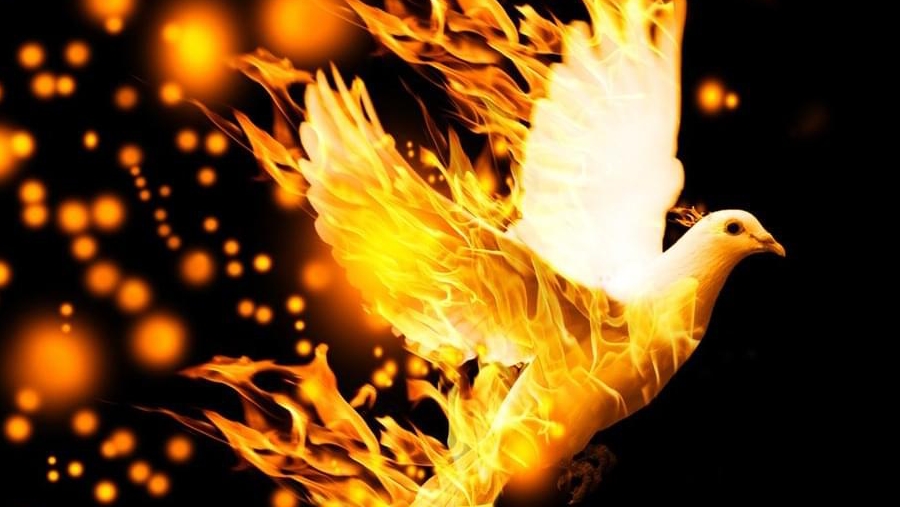 16/2/25.МОЛИТВА БЛАГОСЛОВЕНИЯ🩸🩸🙏🏻🙏🏻❤️❤️🤍🤍🐦🔥🐦🔥🕊️🕊️🦅🦅🌎🌎🫓🫓🍷🍷🩸🩸🔥🔥.mp4
