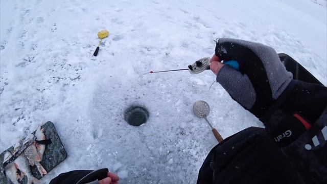 РЫБАЛКА УДАЛАСЬ, ОКУНЬ И КРУПНАЯ ПЛОТВА