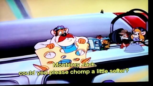 Monterey Jack eats Cheese