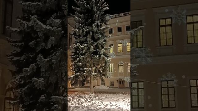 1000035526.mp4