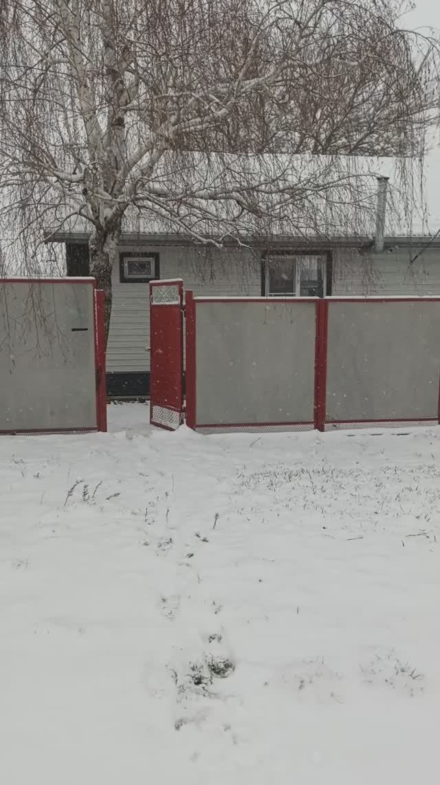 Зима вернулась 🌨️
