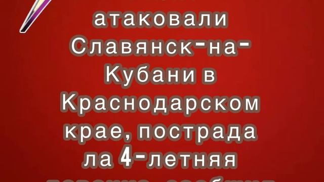 Украинские БПЛА атаковали Славянск-на-Кубани