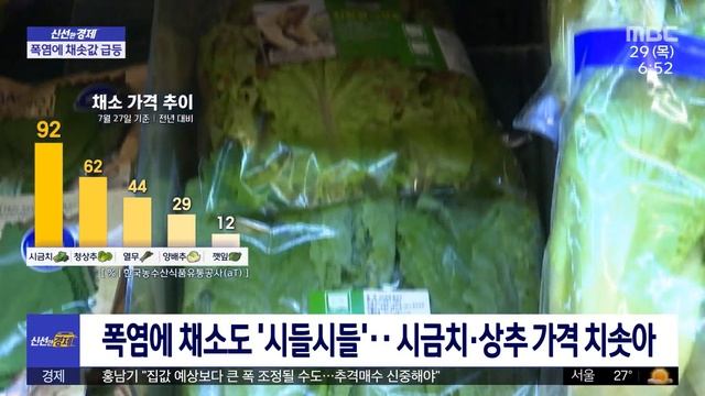 [신선한 경제] 폭염에 채소도 '시들시들'…시금치·상추 가격 치솟아 (2021.07.29/뉴스투데이/MBC)