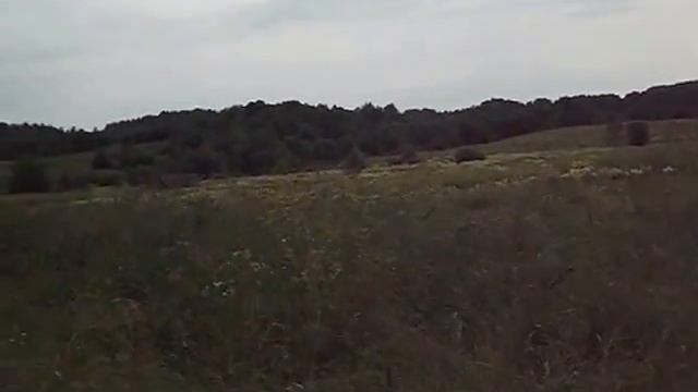 Прогулка по деревни