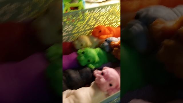 1000000132.mp4