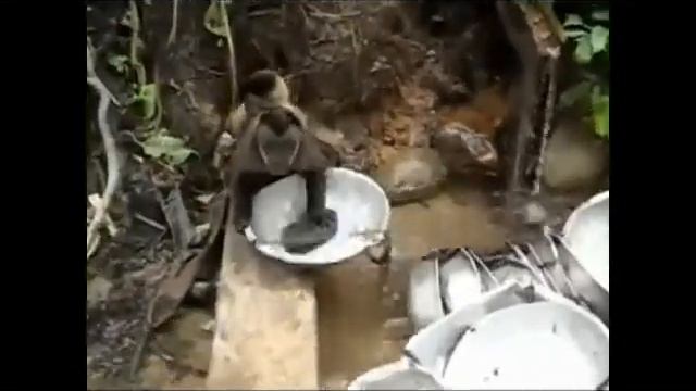 ПРЕДУПРЕЖДАЮ  Это самая смешная подборка видео  Ржач)