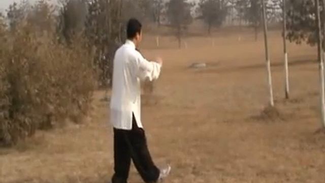 Chen Taijiquan 32 Shi