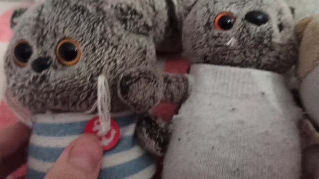 Знакомство с Семьёй Басиков и Лили 🐱🐈🥰