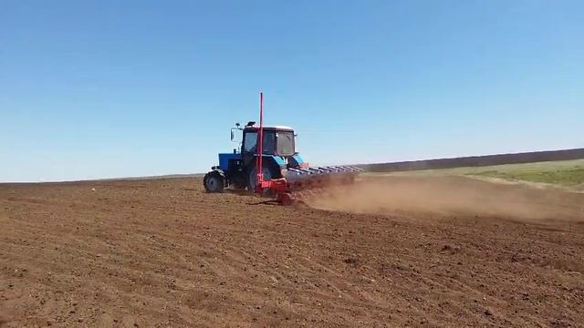 Мтз 82.1 с сеялкой ТСМ 8000А НА СЕВЕ ПОДСОЛНЕЧНИКА
