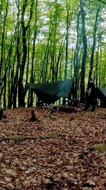hammock camping. #hammockcamping #bushcraft #freinds #