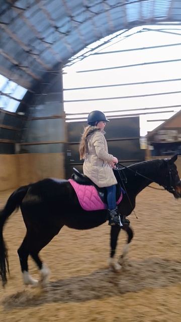 Василиса и Флейта, рысь и стих на французском. #horse #equestrian #лошади #pony