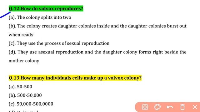 Set:01:VOLVOX: MCQs BASED ON REPRODUCTION