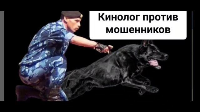 Алексей против мошенников!