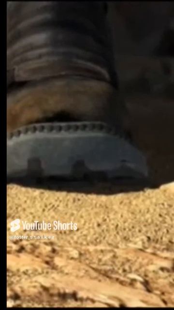 1000008062.mp4