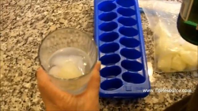 TIP RESOURCE CITRUS ICE CUBES - Jen Freeman