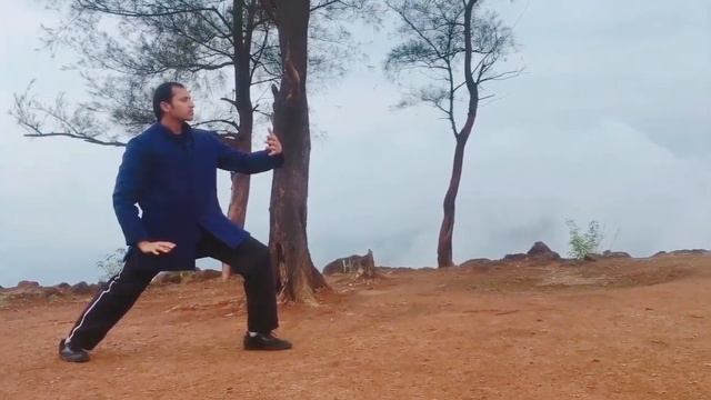 Tai Chi Master - Sifu Aniket (Tai Ji Shi San Shi- Oldest Tai Chi structure)