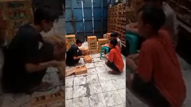 MINGGU FULL STOK MERAPAT! BONGKAR TERUS LANGSUNG DI PROMOKAN SETIAP HARI