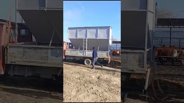 Легкий способ выгрузки кормушки❗️