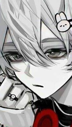 scene_output.mp4