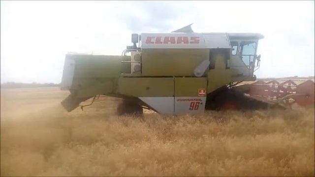 Claas Dominator 96 SL Wheat Harvest 2018