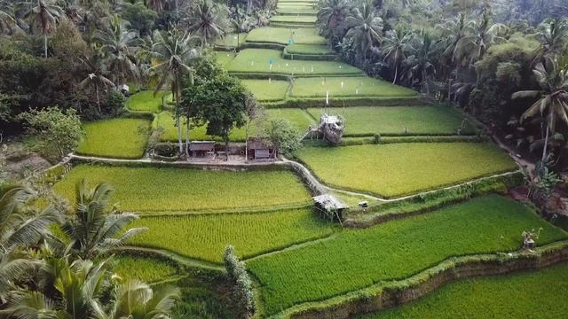 Bali v3.0