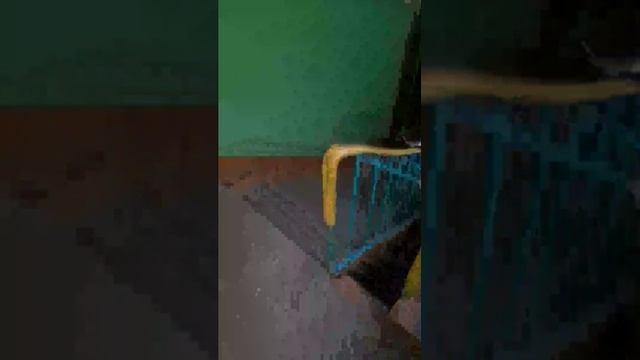 Марс на прогулке)))