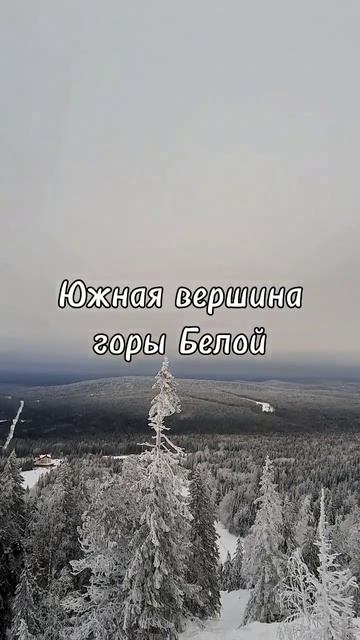 Фрирайд с южной вершины горы Белой. Свердловская обл. #travel