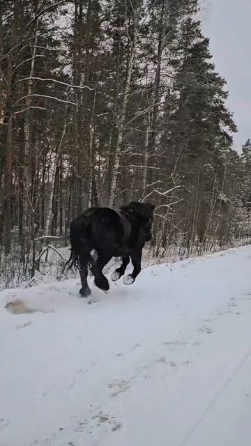 1000010106.mp4