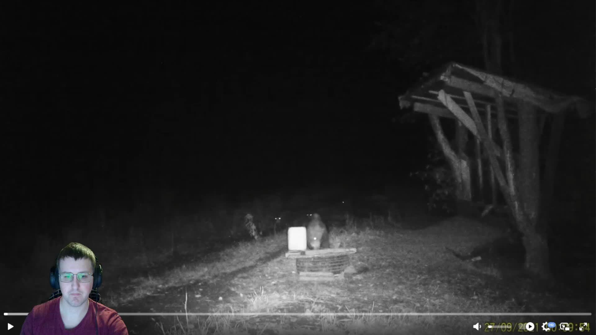 Мир дикой природы. Кабан. Все записи с кабанами #кабан #животные #секач Смотрим все видео