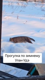 Прогулка по Лысой горе, Улан-Удэ.