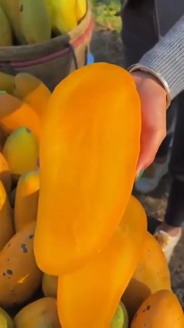 Сочное манго Тайланда